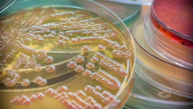 Γιατί επιμένουν οι ενδονοσοκομειακές λοιμώξεις στην Ελλάδα