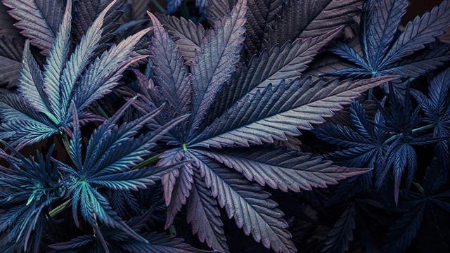 ‘’H αντιμετώπιση της εξάρτησης στην Ελλάδα: Χθες, σήμερα, αύριο’’