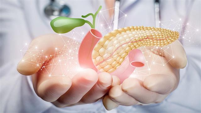 Η διέγερση νεύρων που συνδέονται με το πάγκρεας μπορεί να αναγεννήσει κύτταρα που παράγουν ινσουλίνη [μελέτη]