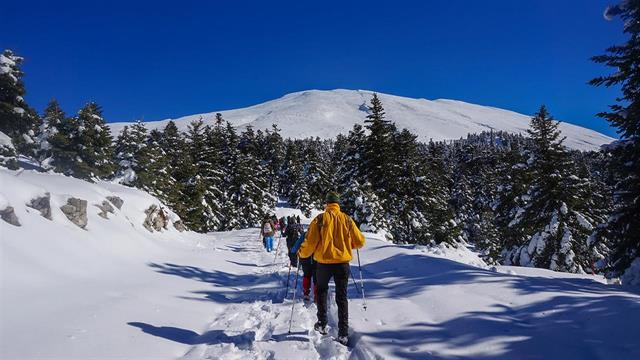 Εντός Δεκεμβρίου ανοίγει ξανά το Χιονοδρομικό Κέντρο Παρνασσού