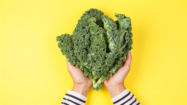 Λαχανίδα: Όλοι οι λόγοι για να την βάλουμε στο πιάτο μας