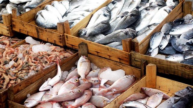 ECDC: Συρροές κρουσμάτων λιστερίωσης σε 5 ευρωπαϊκές χώρες - Πού αποδίδονται