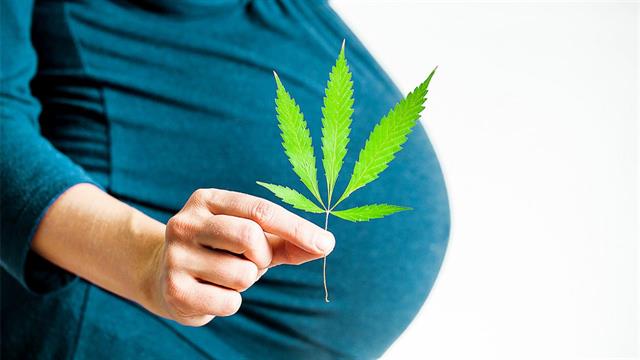 Η χρήση κάνναβης κατά την εγκυμοσύνη αυξάνει τις επιπλοκές [μελέτη]
