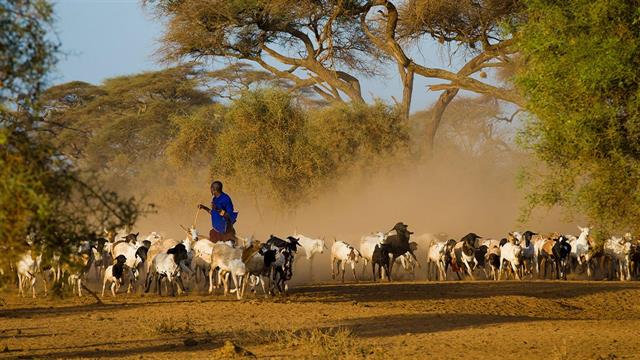 Δικαστήριο της Νότιας Αφρικής απορρίπτει ομαδική αγωγή για δηλητηρίαση από μόλυβδο