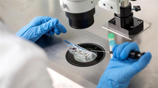 Το 5% των γεννήσεων στην Αυστρία προέρχονται από εξωσωματική γονιμοποίηση