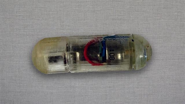 Ερευνητές ανέπτυξαν δονούμενη κάψουλα κατά της παχυσαρκίας