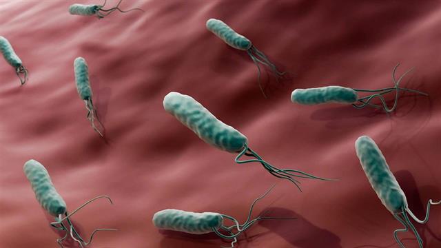 Το ελικοβακτηρίδιο του πυλωρού συνδέεται με μεγαλύτερο κίνδυνο εμφάνισης νόσου Alzheimer [μελέτη]