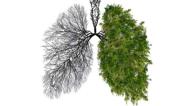 Η  διακοπή του καπνίσματος μειώνει κατά 60% τη θνησιμότητα [μελέτη]