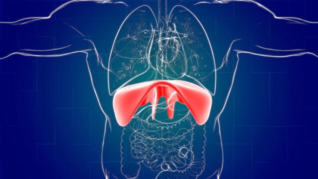 Διαφραγματοκήλη: Τι είναι και πώς θεραπεύεται