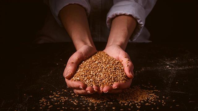 Καρκίνος μαστού: Θρεπτικές ουσίες σόγιας, ξηρών καρπών και οσπρίων είναι πιθανό να προλαμβάνουν την υποτροπή [μελέτη]