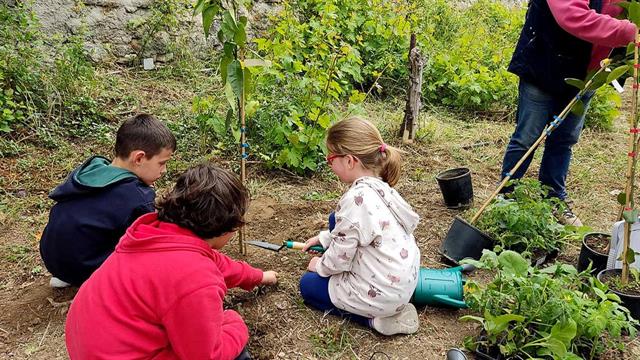 Εκπαιδευτικό πρόγραμμα  Τα παιΔικά μας φρούτα & λαχανικά