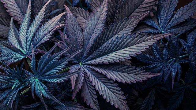 Κορυφαία διάκριση από την ΕΕ για το πρόγραμμα Επανένταξη μέσω του αθλητισμού, του ΚΕΘΕΑ