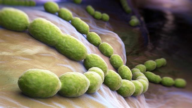 ΕΚΠΑ: Μετάδοση και συμπτώματα λοίμωξης από στρεπτόκοκκο - Ποιοι κινδυνεύουν περισσότερο