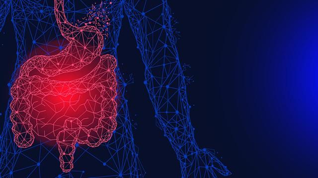 Ερευνητές ανακάλυψαν νέες πληροφορίες για τον τρόπο λειτουργίας του λεπτού εντέρου