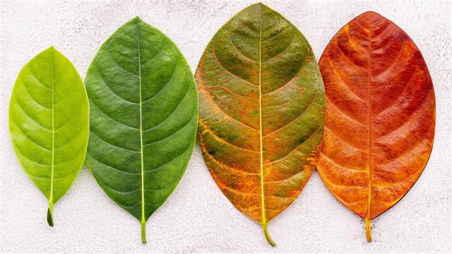 Νέο ρολόι DNA είναι πιθανόν να αλλάξει το πώς μετράμε τη γήρανση