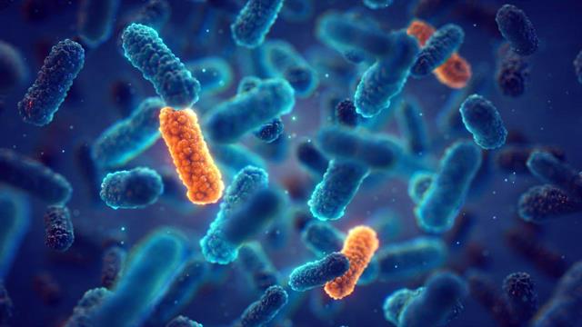 Κρεσομυκίνη: Nέο αποτελεσματικό αντιβιοτικό κατά των πολυανθεκτικών βακτηρίων