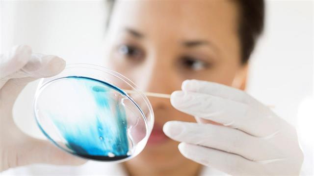 Ερευνητές ανέπτυξαν τεχνητούς, λειτουργικούς όρχεις