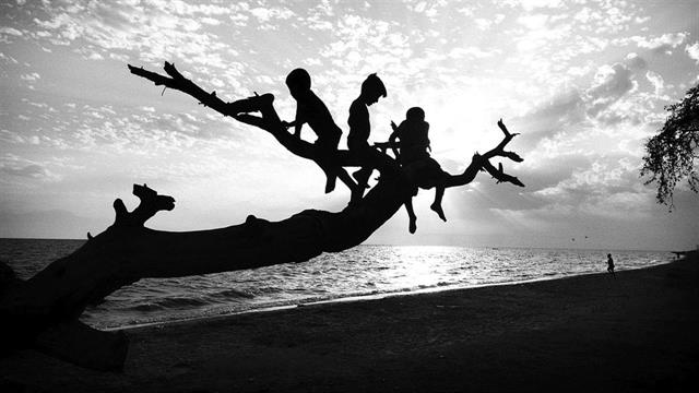 Επιτυχημένη πρεμιέρα του “Click for Life”: 1.230 φωτογραφίες αφιερωμένες στη νίκη ενάντια στον καρκίνο