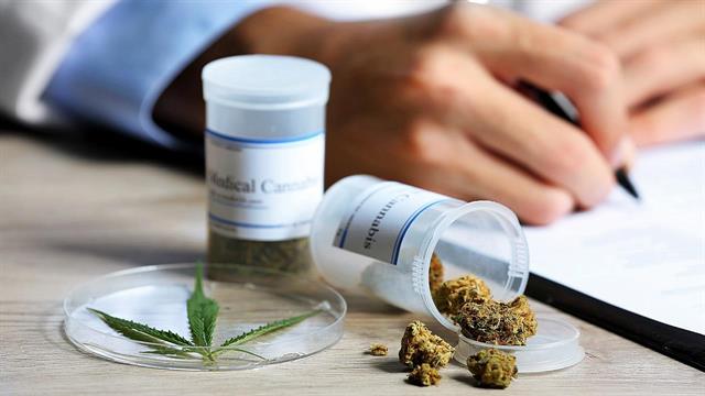 Ετοιμάζονται τα έλαια φαρμακευτικής κάνναβης από την Tikun Olam