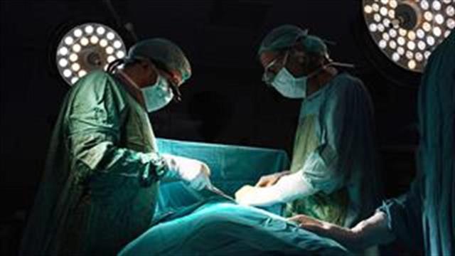 Organmeetings: Μια μεγάλη αλυσίδα ζωής δημιουργείται