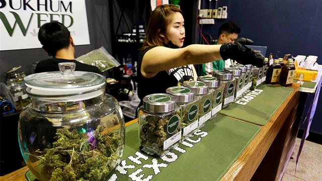 Η Ταϊλάνδη αναστέλλει τη νομιμοποίηση της κάνναβης