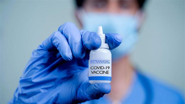 Ρινικό σπρέι κατά της CoViD: Πιθανό όφελος δείχνουν μελέτες σε ζώα