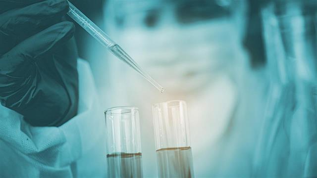 Τα βλαστοκύτταρα του εντέρου και η επιβράδυνση της γήρανσης [ελληνική μελέτη]