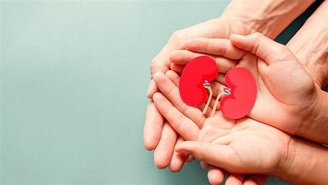 Παγκόσμια Ημέρα του Νεφρού: Τα μέτρα που συμβάλλουν στην πρόληψη νεφρικών παθήσεων