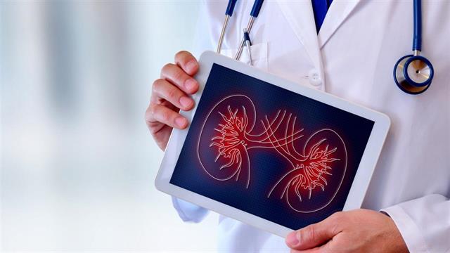 Παγκόσμια Ημέρα Νεφρού 2024: ‘’Υγεία των Νεφρών : Ισότιμη Πρόσβαση στη Φροντίδα και στην Φαρμακευτική Πρακτική’’