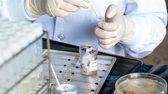 Τεστ DNA  για τον καρκίνο του παχέος εντέρου [μελέτη]