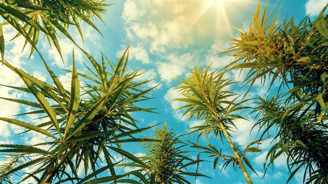 Γερμανία: Νόμιμη η κάνναβη από 1η Απριλίου