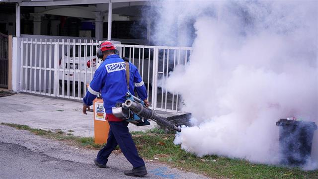 Ρεκόρ κρουσμάτων δάγκειου πυρετού στη Λατινική Αμερική και την Καραϊβική