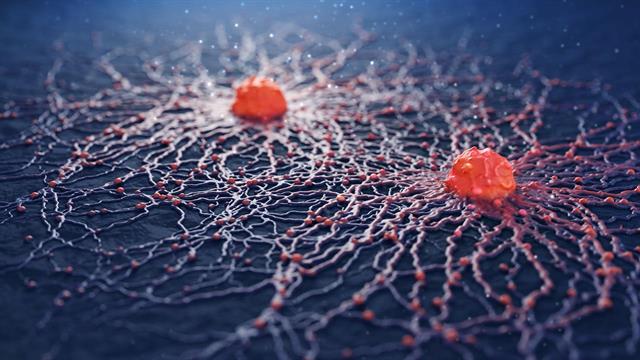 Εφαρμογή Ψηφιακών Εργαλείων για την Ποιότητα της Φροντίδας στον Ογκολογικό Τομέα