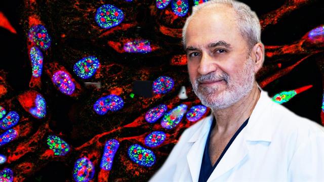 Καρκίνοι της στοματικής κοιλότητας - Αιτιολογία και αντιμετώπιση