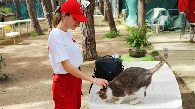 Ο Ελληνικός Ερυθρός Σταυρός ενίσχυσε τα αδέσποτα του Φιλοζωικού Συλλόγου Νέας Φιλαδέλφειας