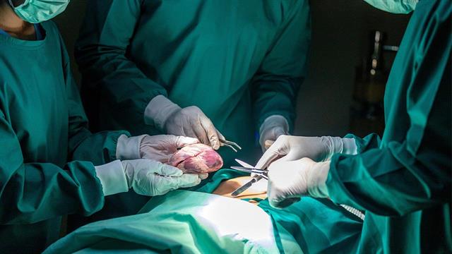 40 μεταμοσχεύσεις πνεύμονα στο Ωνάσειο από το 2020