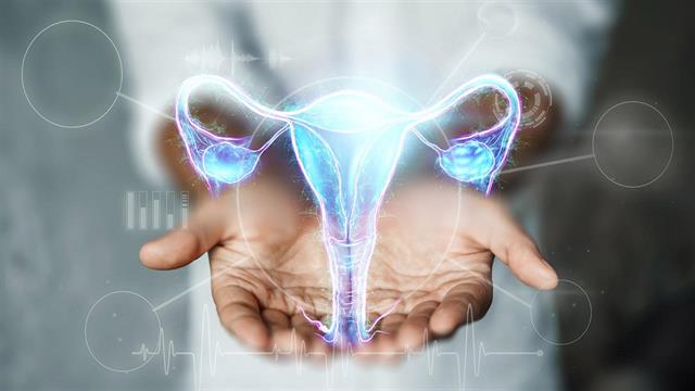 Υπερηχογραφική σαλπιγγογραφία: Οδηγός για τις γυναίκες