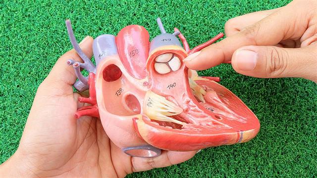 24ο Συνέδριο ‘’New Trends in Cardiology 2024’’