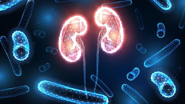 Ανοσοθεραπεία μετά τη νεφρεκτομή αυξάνει την επιβίωση σε ασθενείς με καρκίνο νεφρού