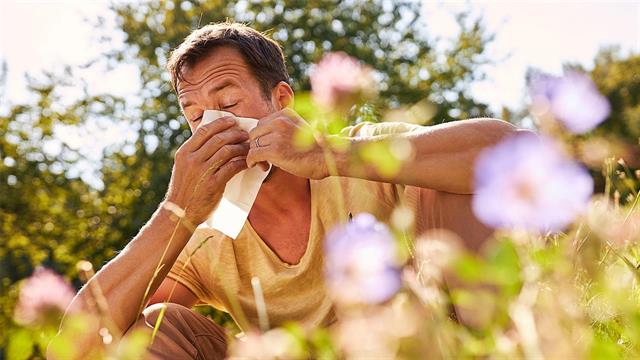 Οδηγός για τις αλλεργίες και την κλιματική αλλαγή