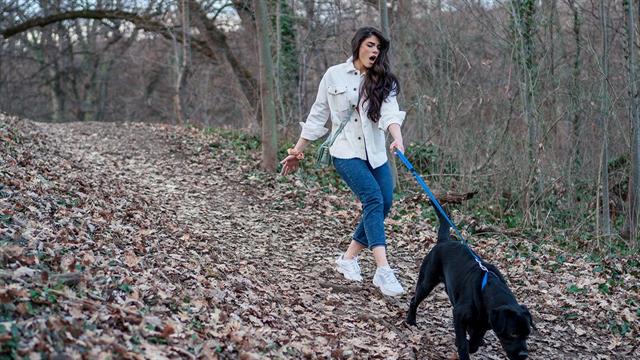 Πόνος στο χέρι: Μήπως φταίει ο ζωηρός σκύλος σας;