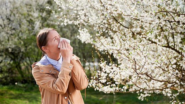 Εκρηξη κρουσμάτων αλλεργικής ρινίτιδας από την κλιματική αλλαγή