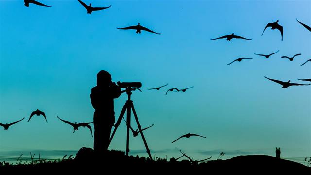 Ποια δραστηριότητα στη φύση μπορεί να βελτιώσει την ψυχική υγεία φοιτητών [μελέτη]
