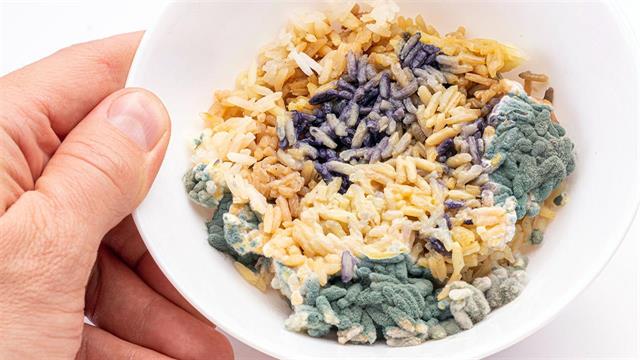 Πόσο σοβαρά παίρνουμε τα μουχλιασμένα τρόφιμα [μελέτη]