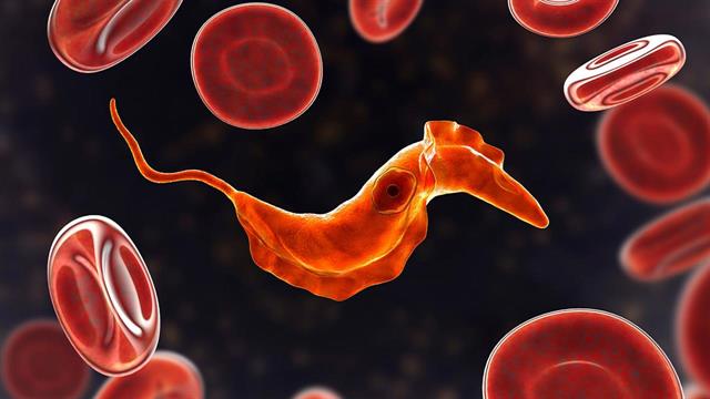 Νόσος Chagas: Από τη Λατινική Αμερική, έχει φτάσει στην Ανατολική Μεσόγειο