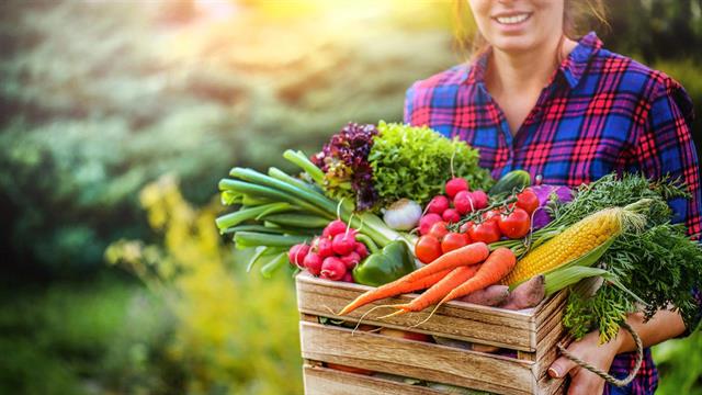 Εντοπίστηκαν συγκεκριμένες θρεπτικές ουσίες ζωτικής σημασίας για τoν εγκέφαλο