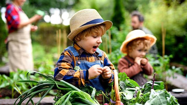Ακόμα και ένας μικρός λαχανόκηπος ενισχύει το μικροβίωμα και προστατεύει από νόσους