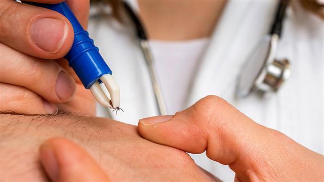 Νόσος του Lyme: Ποιο είναι το νέο αποτελεσματικό εμβόλιο [μελέτη]