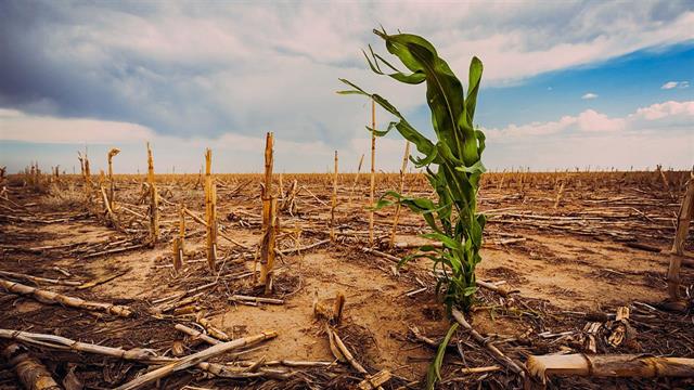Πανελλήνιο Συνέδριο Δημόσιας Υγείας: Η κλιματική κρίση στο επίκεντρο