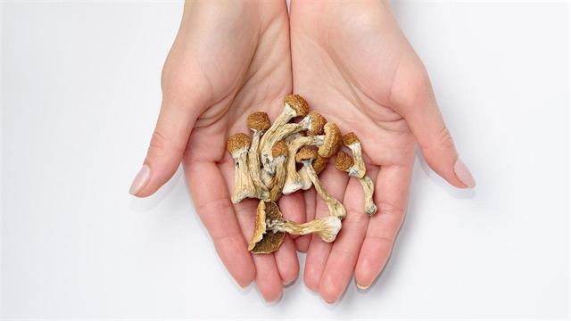 Μαγικά μανιτάρια ανακούφισαν συμπτώματα γυναίκας με long Covid